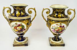 ROYAL CROWN DERBY VASES, a pair, 19th century hand painted with botanical still life with blue