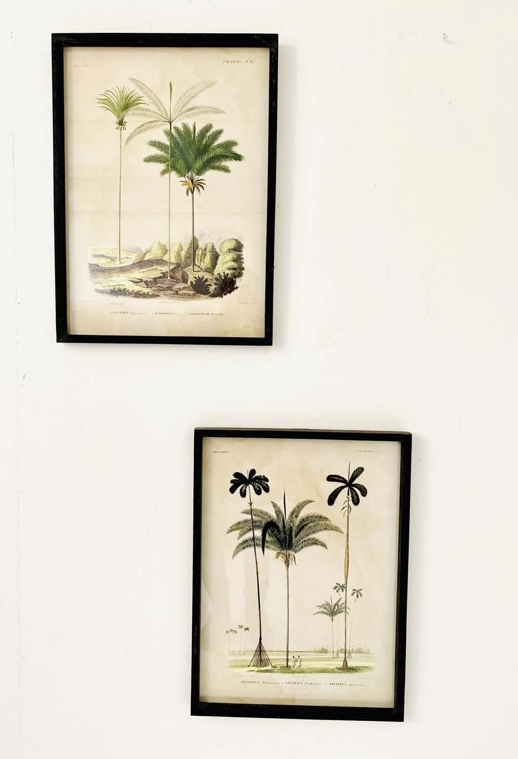 BOTANICAL PRINTS, a pair, framed, 56cm x 41cm. (2)