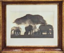 TROWBRIDGE GALLERY, prints, a set of three, framed and glazed, 81cm x 72cm. (3)