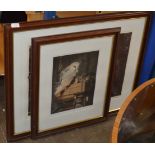 2 FRAMED LIMITED EDITION PRINTS - OWLS