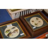 4 FRAMED FISHING FLY DISPLAYS