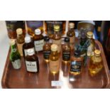 14 VARIOUS WHISKY & SPIRIT MINIATURES