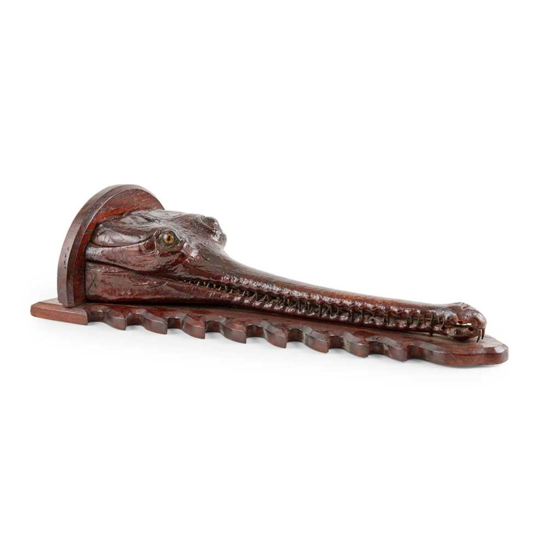 MOUNTED TAXIDERMY GHARIAL HEAD 19TH CENTURY