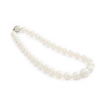 A South Sea pearl necklace