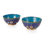 PAIR OF CLOISONNÉ ENAMEL BOWLS LATE QING DYNASTY-REPUBLIC PERIOD, 19TH-20TH CENTURY