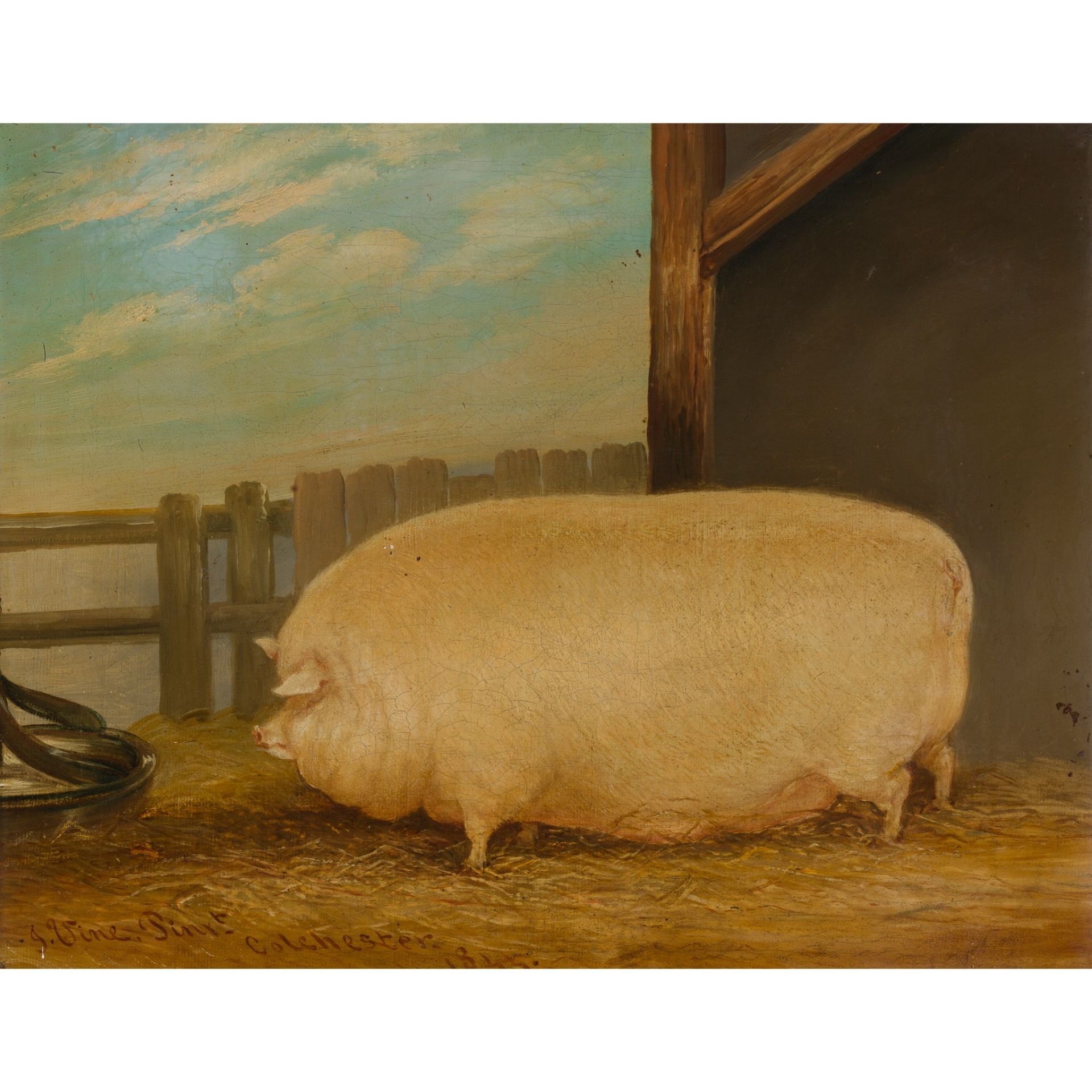 JOHN VINE OF COLCHESTER (BRITISH 1809-1867) A PRIZE PIG