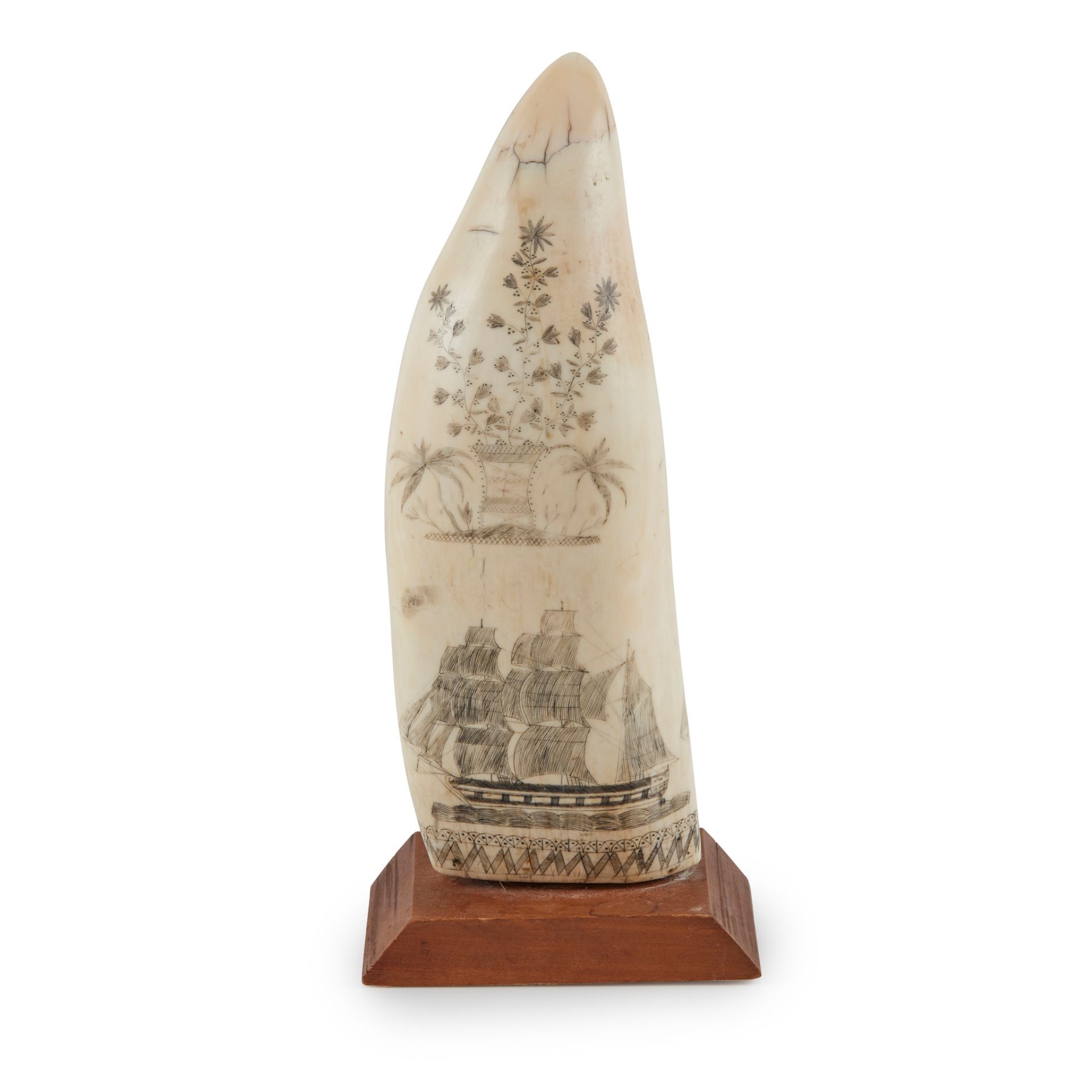 Y SCRIMSHAW WHALE'S TOOTH 19TH CENTURY