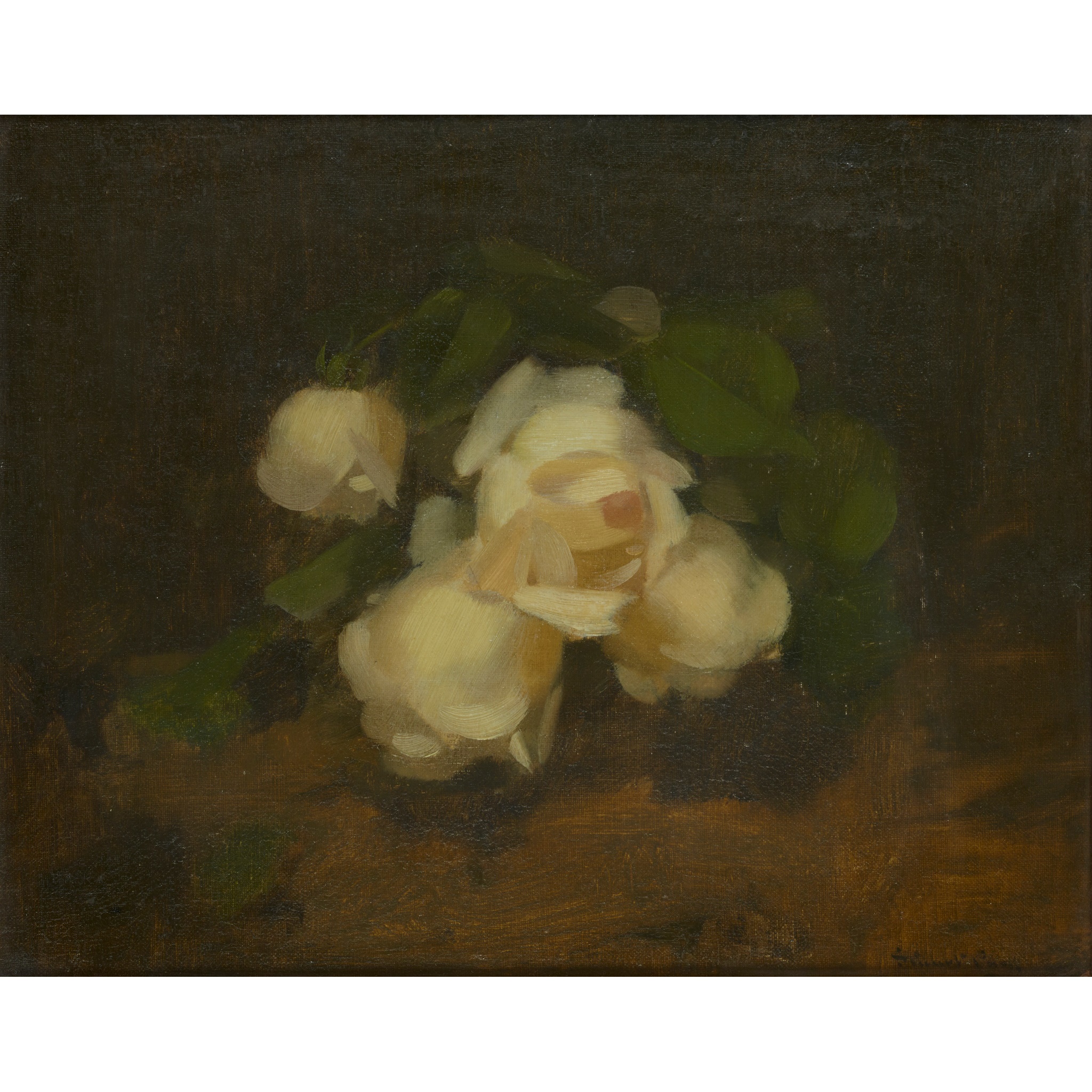 STUART PARK (SCOTTISH 1862-1933) MARÉCHAL NIEL ROSES