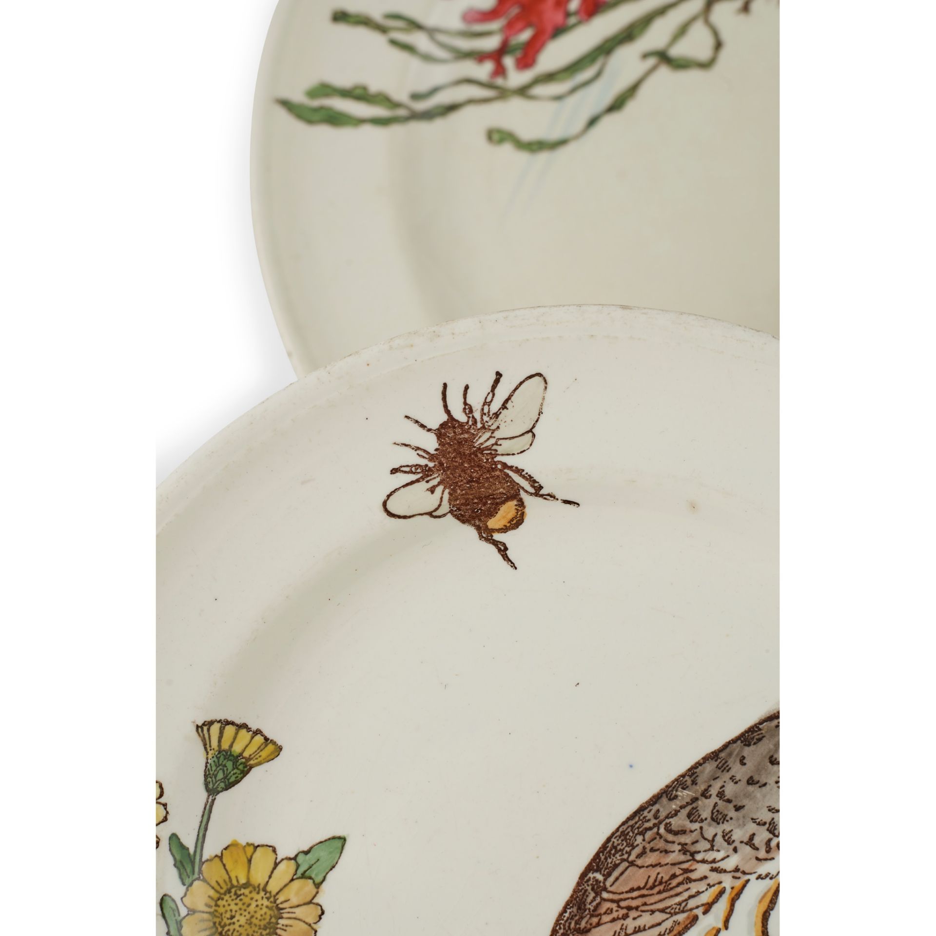 WILLIAM STEPHEN COLEMAN (1829-1904) FOR MINTON & CO. SET OF TEN ‘NATURALIST SERIES’ PLATES, CIRCA - Image 6 of 7