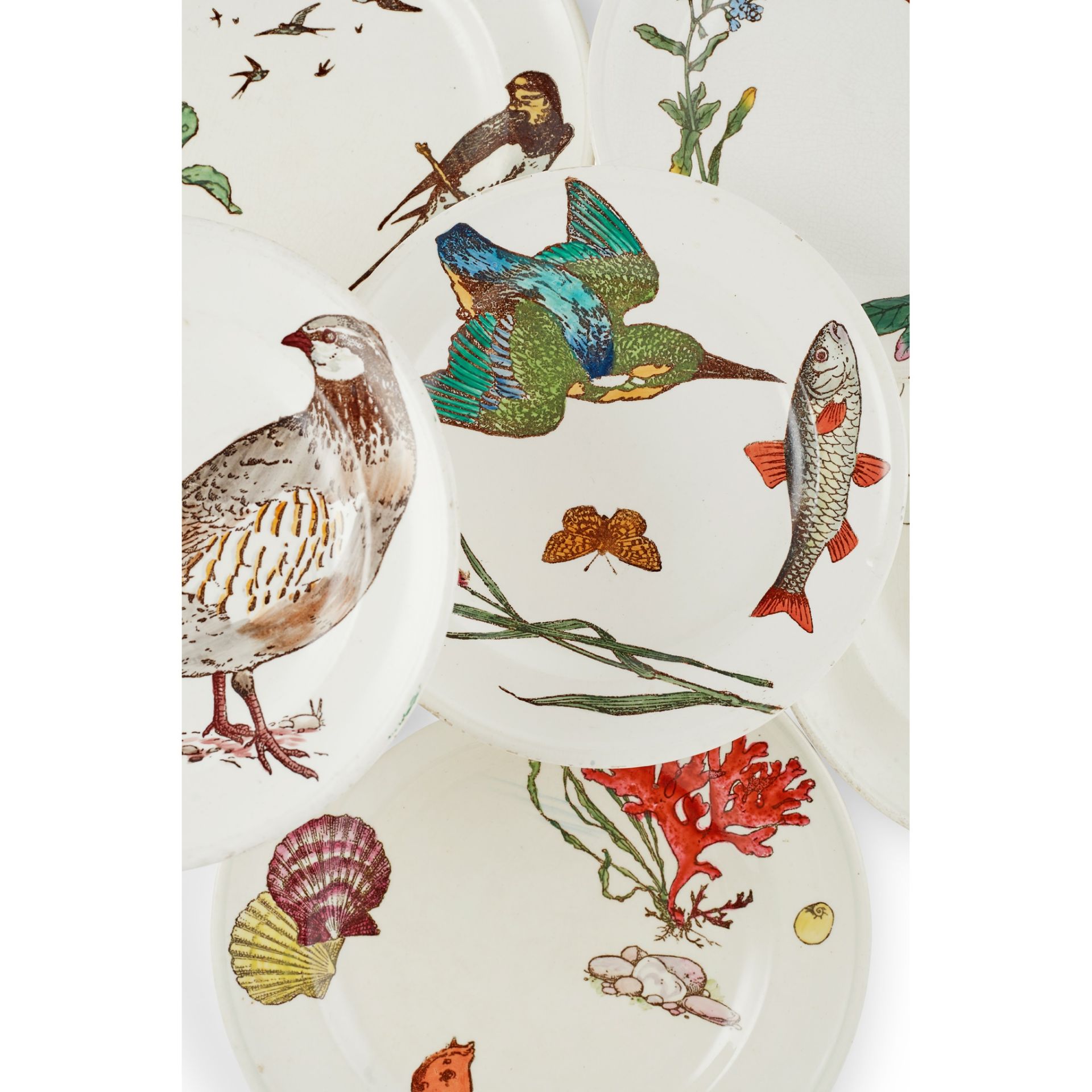 WILLIAM STEPHEN COLEMAN (1829-1904) FOR MINTON & CO. SET OF TEN ‘NATURALIST SERIES’ PLATES, CIRCA - Image 7 of 7