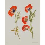 § DAME ELIZABETH BLACKADDER O.B.E., R.A., R.S.A., R.S.W., R.G.I., D.Litt (SCOTTISH 1931-2021) POPPY