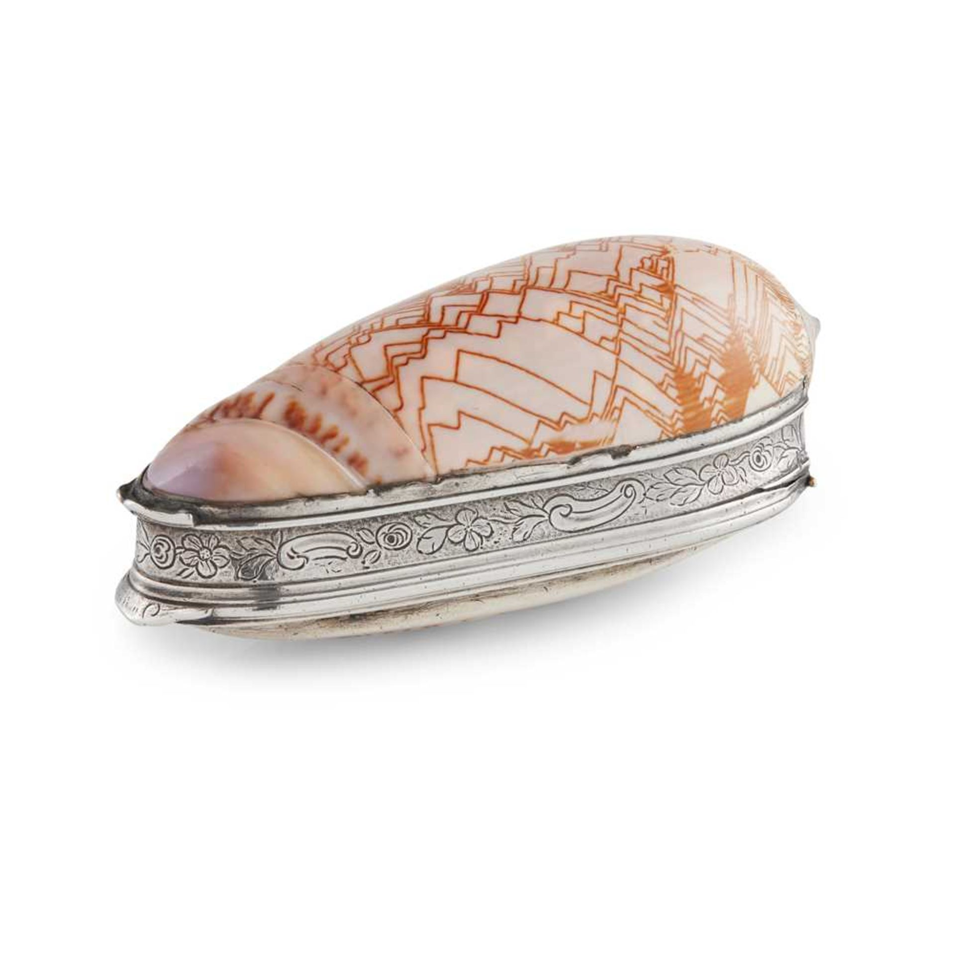 AN OLIVIA PORPHYRIA SHELL SNUFF BOX