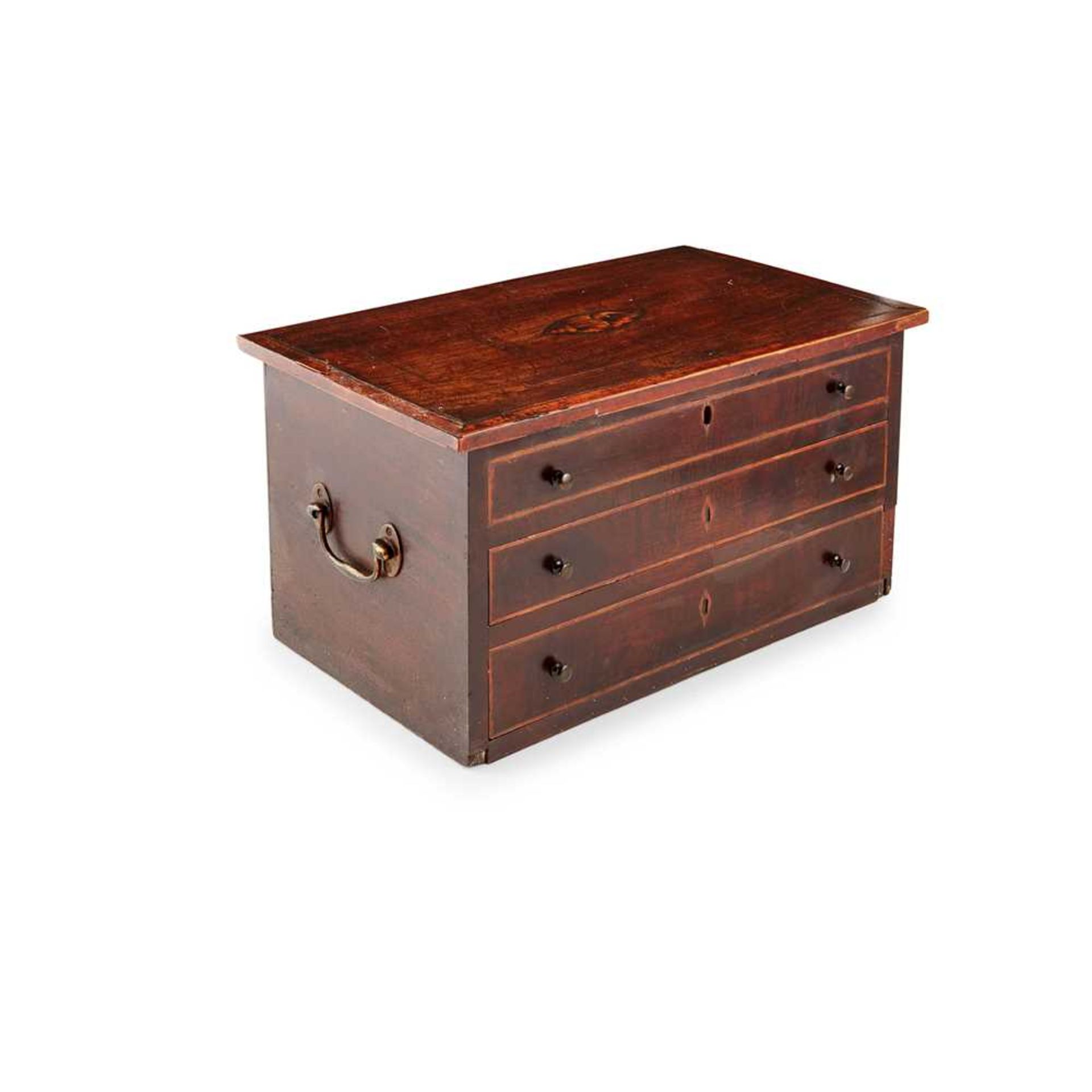 REGENCY MAHOGANY CASED SHELL COLLECTION EARLY 19TH CENTURY - Image 2 of 6