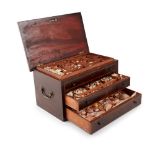 REGENCY MAHOGANY CASED SHELL COLLECTION EARLY 19TH CENTURY