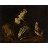 FOLLOWER OF GIOVANNI AGOSTINO CASSANA (ITALIAN 1611-1671) RABBITS, DOVE AND A GUINEA PIG IN AN INTER