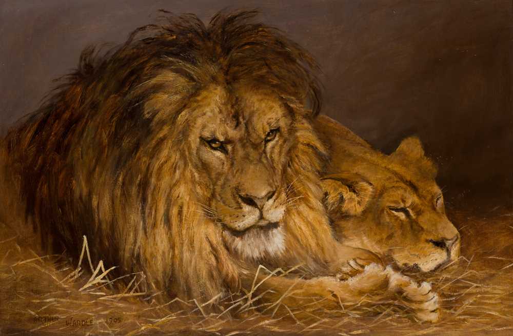 ATTRIBUTED TO ARTHUR WARDLE LIONS IN AN INTERIOR