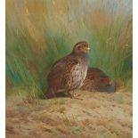 ARCHIBALD THORBURN (SCOTTISH 1860-1935) PARTRIDGE