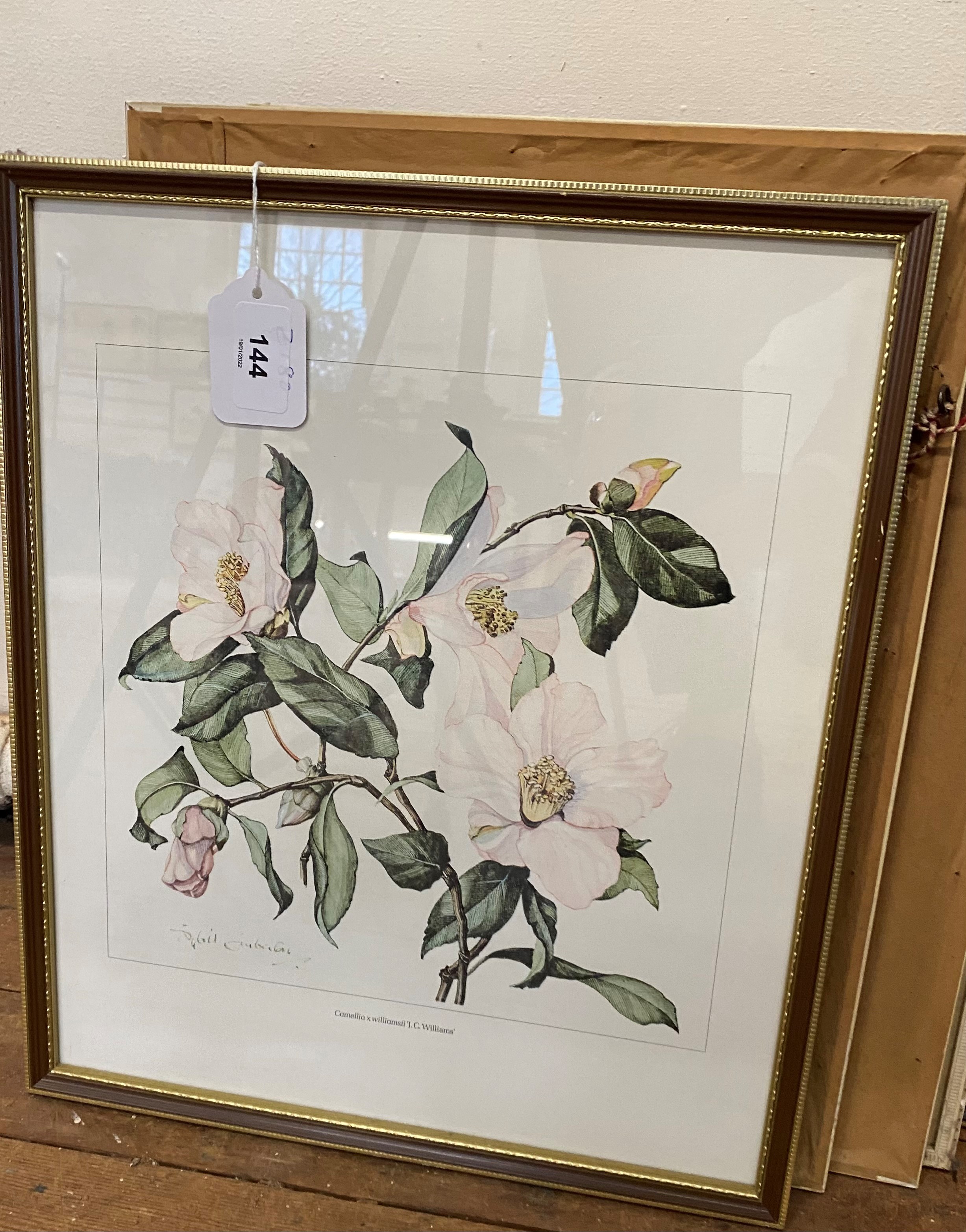 Sixteen botanical prints, all framed, 31cm x 37cm (16)