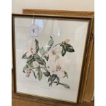 Sixteen botanical prints, all framed, 31cm x 37cm (16)