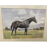 Reginald Smith. Portrait of race horse 'The Likely Lad'. Watercolour. Signed and dated '71, 45.5cm x