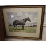 Reginald Smith - Portrait of race horse 'The Likely Lad' watercolour. Signed and dated '71, 45cm x