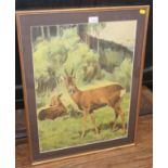 DEER, Original Chromolithograph showing male & female of the species in a forest. Artist NOT