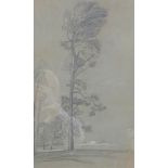 Cornelius Varley. Pencil drawing of a tree. Signed lower right. dated 1801. Framed 43 x 27cm