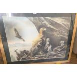 GOLDEN EAGLES, Original Chromolithograph showing Male and Female with Eaglets on the Eyrie C1950