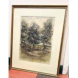 A Watercolour Drawing. Trees by a pond. Unsigned, framed and glazed. 44cm x 33.8cm