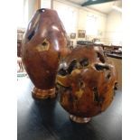 Two Treen vases. Of pollard Yew Wood Root ball In sizes.