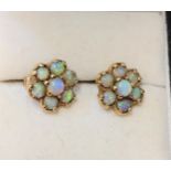 A pair of opal earrings