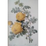 A print of yellow roses.
