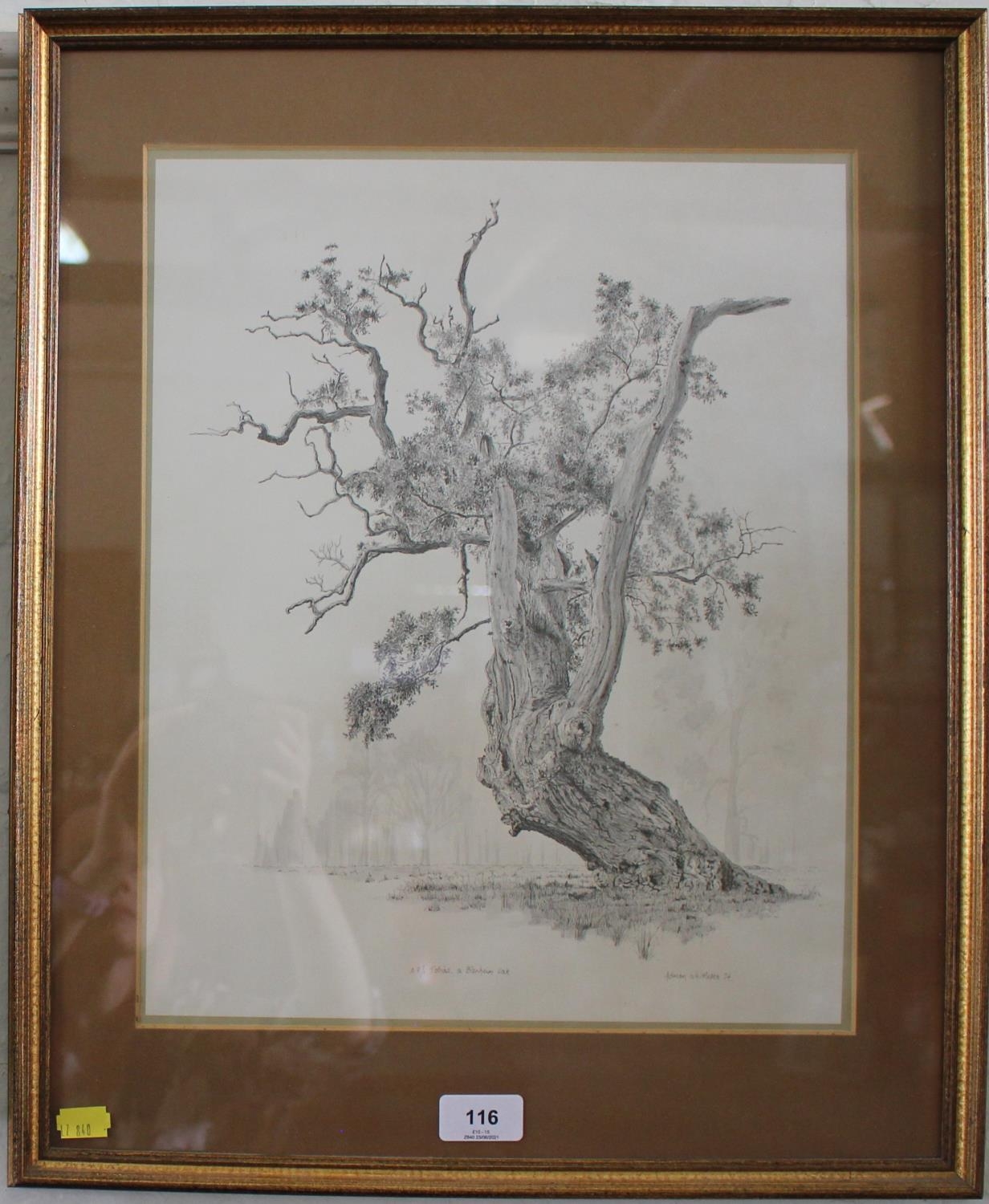 After Adrian Whittlesea Tobias, a Blenheim Oak Reproduction print, artist's proof 40 x 32 cm