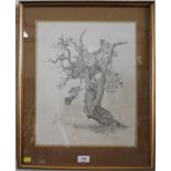 After Adrian Whittlesea Tobias, a Blenheim Oak Reproduction print, artist's proof 40 x 32 cm