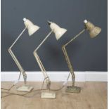 Two Herbert Terry anglepoise lamps with stepped bases and a further Herbert terry anglepoise lamp (