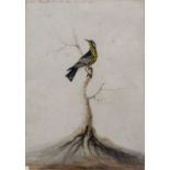 Sarah Stone (c. 1760-1844) A yellow-throated warbler, signed and dated 1784, inscribed with title,