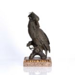 20th Century Continental School Bronze model of a parrot on a composite base, unsigned, 35cm high