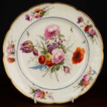 A 19th century Nantgarw porcelain plate, hand decorated with central floral spray and insects within