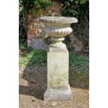 A Haddonstone cast garden urn with egg and dart decorated rim on a cast plinth, the urn 46cm