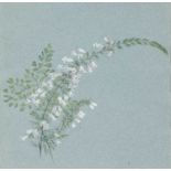 John Ruskin (1819-1900) Bell heather and fern, watercolour on blue paper, 25 x 26cm Provenance: Ex