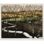 Morna Rhys Through the trees, River Evenlode, signed, inscribed and dated 2003, numbered 6/30,