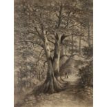 Emma Sandys (1834-1877) The Wishing Tree, signed, charcoal, 57 x 62.5cm; and a pencil head study