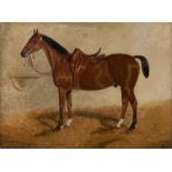 Circle of George Paice (1854-1925) A saddled bay hunter in a stable, oil on board, 23 x 31cm