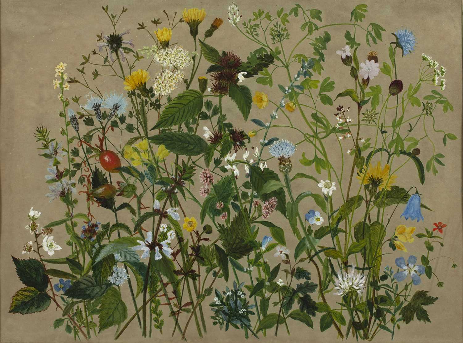 19th century English school 'Forty Wild Flowers Picked on the Shore at Lowood, 1887', apparently
