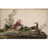 19th century Chinese school A mandarin duck and mate upon a rocky outcrop, on pith paper, 19.5 x