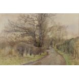 Maurice Sheppard (20th Century) Country lane, signed, watercolour, 36 x 54cm