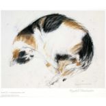 Elizabeth Blackadder (1931-2021) Tortoise-Shell Cat, 1997 signed and numbered in pencil (in the