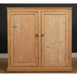 A 19th century pine side cupboard with two panelled doors and a plinth base, 112cm wide x 38cm