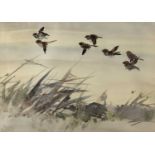 Japanese School Birds in flight, watercolour, unsigned, 44cm x 63cmGenerally good with a few