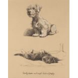 Cecil Aldin (1870-1935) 'Sealyham terrier and Dachshund puppy', print, unsigned, unframed, 27cm x